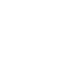 apple icon